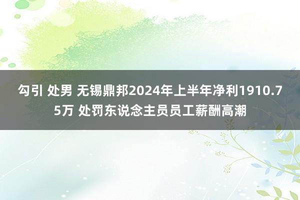 勾引 处男 无锡鼎邦2024年上半年净利1910.75万 处罚东说念主员员工薪酬高潮