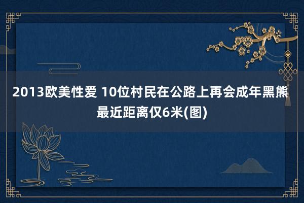 2013欧美性爱 10位村民在公路上再会成年黑熊 最近距离仅6米(图)